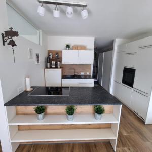 Kuchyň nebo kuchyňský kout v ubytování Ferienwohnung Amelie