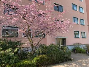 un albero a fiori rosa di fronte a un edificio di Luxus Wohnung & Apartment nähe Hannover & Messe ad Hannover