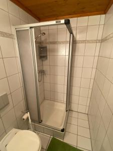 a shower stall in a bathroom with a toilet at Landler Auszeit in Thiersee