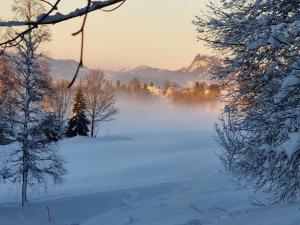 ein schneebedecktes Feld mit Bäumen und der Sonne im Hintergrund in der Unterkunft Appartement chaleureux et confortable avec sauna.. in Le Chenit