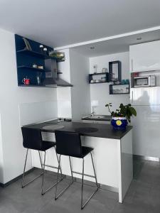 Kuchyň nebo kuchyňský kout v ubytování Studio Apartman Ante