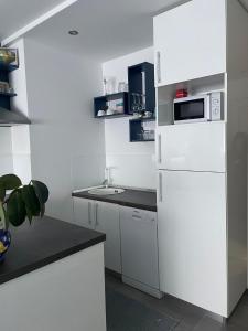 Kuchyň nebo kuchyňský kout v ubytování Studio Apartman Ante