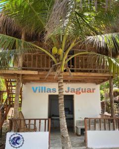 a hotel with a palm tree in front of a building at Playa Jaguar - Beach Club in Moñitos