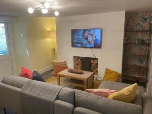 トーキーにあるGarden Flat Torquay Just 2 mins walk from the Harbourのソファと暖炉のあるリビングルーム