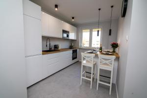 Kuchyňa alebo kuchynka v ubytovaní Apartament KOPERNIK w centrum