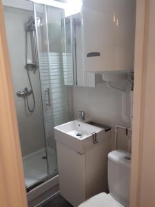 La salle de bains est pourvue de toilettes, d'un lavabo et d'une douche. dans l'établissement Cosy Studio of 17 square meters at Place Monge 75005, à Paris