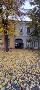 a pile of leaves on the ground in front of a house at Via Tokaj Vendégház in Sátoraljaújhely