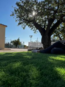 Fotografia z galérie ubytovania Villa con PISTA DE PADEL privada, piscina y Barbacoa, con más de 1800m2 de terreno, Villa Can Ramón v destinácii Papiolet