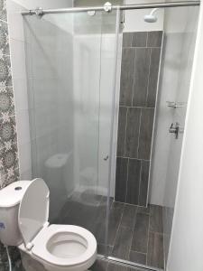 uma casa de banho com um WC e uma cabina de duche em vidro. em apartamento family em Santa Rosa de Cabal