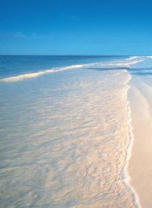 a view of the ocean from the beach at The Palms Zanzibar in Bwejuu