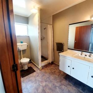 a bathroom with a toilet and a sink and a mirror at Chanel Court Motel in Masterton