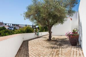 a woman standing on a wall next to a tree at Horta das Laranjas in Serpa