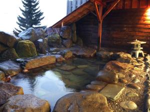 a pond in front of a log cabin at Shiga Swiss Inn in Yamanouchi