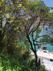 a group of trees and a body of water at DerSalvador Sol Victoria Marina Studios in Salvador