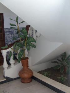 Fotografie z fotogalerie ubytování Guesthouse A Lareira v destinaci Aljezur