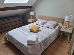 1 dormitorio con 1 cama grande y 2 mesitas de noche en Appartement T2 tout équipé en Jujurieux