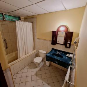 a bathroom with a toilet and a sink and a shower at Hotel Austria in León