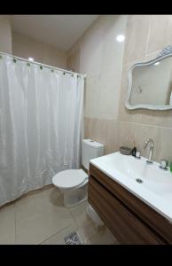 een badkamer met een toilet, een wastafel en een spiegel bij Apart Checatu Irupe in Corrientes