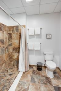 a bathroom with a toilet and a shower at NY Style Centric Loft with King Bed by Park ave in Rochester