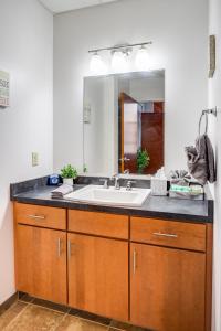 a bathroom with a sink and a mirror at NY Style Centric Loft with King Bed by Park ave in Rochester