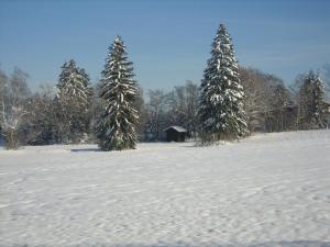 Landgasthof Jägerhaus v zimě