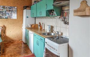 una pequeña cocina con armarios verdes y fregadero en 2 Bedroom Beautiful Home In Dominikowo, en Dominikowo