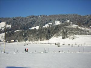 Landgasthof Jägerhaus v zimě
