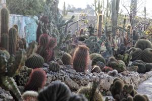 Fotografie z fotogalerie ubytování Garden Cactus v destinaci Villaggio Mose