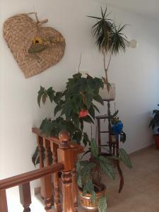 Fotografie z fotogalerie ubytování Guesthouse A Lareira v destinaci Aljezur
