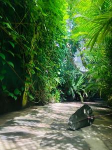 a large green object on the ground in a garden at Tinara River Inn, Weligama in Weligama