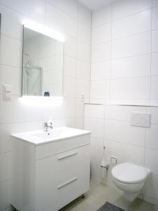 La salle de bains blanche est pourvue de toilettes et d'un lavabo. dans l'établissement AH Lahoda, à Košice