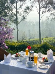 uma mesa com pratos de comida e sumo de laranja em Ceylon Tea Trails em Hatton