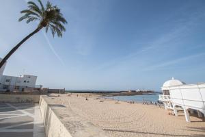 a beach with a palm tree and a building at Apartamento La Habanera de Cadiz in Cádiz