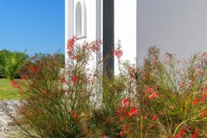 A garden outside Niva Kamiros Apartments