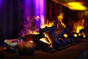 a fire is burning in a fireplace with flames at pentahotel Vienna in Vienna