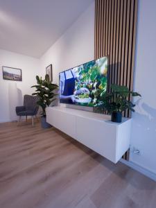 a living room with a flat screen tv on a white entertainment center at 3-Zimmer Apartment 88 qm bis zu 8 Personen in Winningen