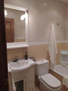 un bagno con un water, un lavandino e uno specchio di Adosado de María - Para 4 pax en Posada de Llanes - VUT-6700-AS a Llanes Altre 23 foto