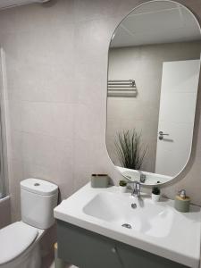 La salle de bains est pourvue de toilettes blanches et d'un miroir. dans l'établissement Alazán Jerez IV-Parking gratis-Wifi-Netflix, à Jerez de la Frontera
