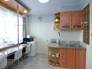 コウォブジェクにあるApartamenty Albatros ALBのキッチン(シンク、カウンター、椅子付)
