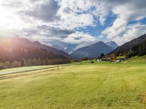 pole trawy z górami w tle w obiekcie Ferienhaus Widmann w mieście Kirchberg in Tirol