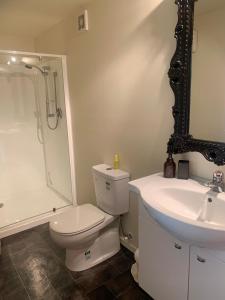 a bathroom with a toilet and a sink and a shower at Otago Peninsula Paradise in Dunedin