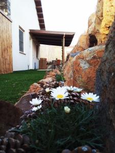 um jardim com flores brancas em frente a uma casa em נענע em Keshet