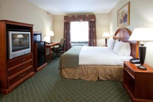 a hotel room with a bed and a television at Holiday Inn Express Hotel & Suites Lonoke I-40, an IHG Hotel in Lonoke