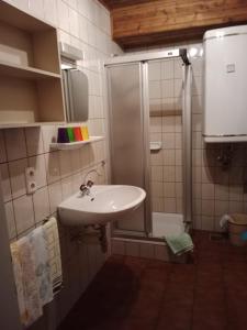 een badkamer met een wastafel en een douche bij Ferienwohnung Haus Gatternig in Seeboden