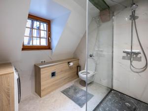 een badkamer met een douche en een toilet bij Le Pinot Gris in Riquewihr