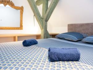 twee blauwe kussens bovenop een bed bij Le Pinot Gris in Riquewihr