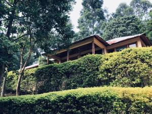 a house sitting on top of a hedge at Bwindi Forest Lodge in Buhoma