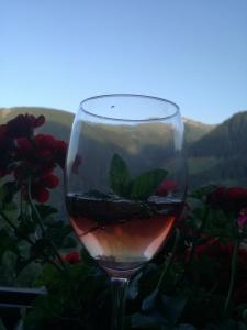 a glass of red wine with a reflection in it at Bichlerhof in Hopfgarten in Defereggen