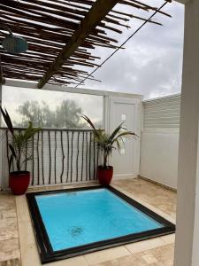 Bazén v ubytování Gite Corossol Martinique nebo v jeho okolí