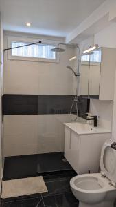 拉加恩–科隆的住宿－Cosy studio proche de la Défense Arena，浴室配有卫生间、淋浴和盥洗盆。